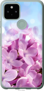 Чохол Бузок на Google Pixel 5 1574780 
Чохол Бузок на Google Pixel 5 1574780