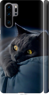 Чехол Дымчатый кот для Huawei P30 Pro