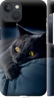 Чехол Дымчатый кот для iPhone 13