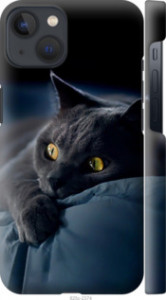 Чехол Дымчатый кот для iPhone 13