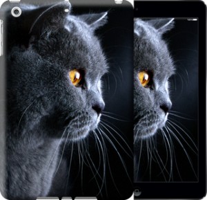 Чехол Красивый кот для iPad 5 (Air)