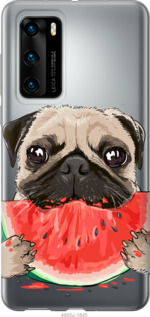 

Чехол Мопс и арбуз для Vivo X50 1083501
