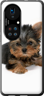 

Чехол Щенок йоркширского терьера для Huawei P50 1612435