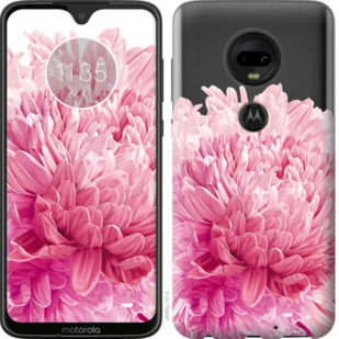 

Чехол Хризантема для Motorola Moto G7 844612