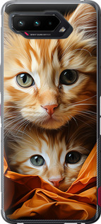 

Чехол Котики 2 для Asus ROG Phone 5 1648190