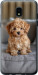 Чохол Mini-maltipoo на Samsung Galaxy J3 2018