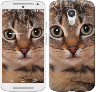 

Чохол Смугастий котик на Motorola Moto G2 175825