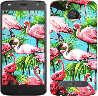 

Чехол Tropical background для Motorola Moto Z2 Play 689782