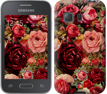 

Чохол Квітучі троянди на Samsung Galaxy Young 2 G130h 235700