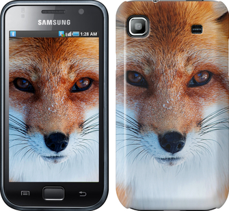 

Чохол Руда лисиця на Samsung Galaxy S i9000 78515