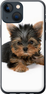 Чохол Цуценя йоркширського тер'єра на iPhone 13 Mini