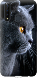 Чехол Красивый кот для Oppo A31