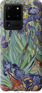 

Чехол Винсент Ван Гог. Ирисы для Samsung Galaxy S20 Ultra 1044948