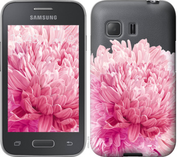 

Чехол Хризантема для Samsung Galaxy Young 2 G130h 844207
