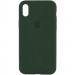 Чехол Silicone Case Full Protective (AA) для Apple iPhone XS Max (6.5") (Зеленый / Cyprus Green)