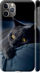 Чохол Димчастий кіт на iPhone 11 Pro Max