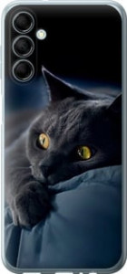 Чохол Димчастий кіт на Samsung Galaxy M14 M146B