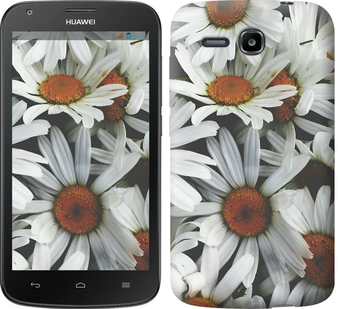 

Чехол Ромашки v2 для Huawei Ascend Y600 127362