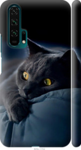 Чехол Дымчатый кот для Huawei Honor 20 Pro
