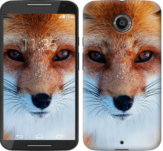 

Чехол Рыжая лисица для Motorola Moto X2 577859