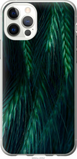 

Чохол Колоски на iPhone 12 1580199