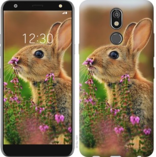 

Чохол Кролик і квіти на LG K40 764690