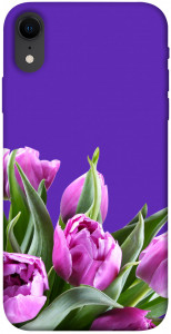 Чехол Тюльпаны для iPhone XR