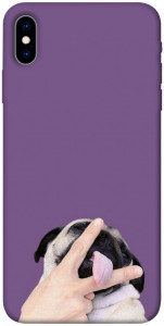 Чехол Мопс для iPhone X (5.8")