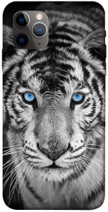 Чехол Бенгальский тигр для iPhone 11 Pro