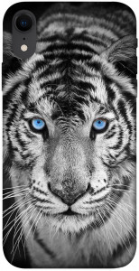 Чехол Бенгальский тигр для iPhone XR