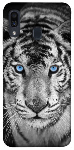 Чохол Бенгальський тигр для Samsung Galaxy A20 A205F