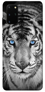 Чехол Бенгальский тигр для Galaxy S20 Plus (2020)