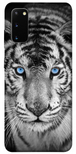 Чехол Бенгальский тигр для Galaxy S20 (2020)
