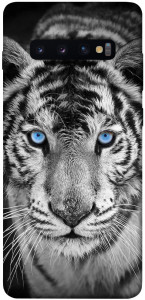 Чехол Бенгальский тигр для Galaxy S10 Plus (2019)