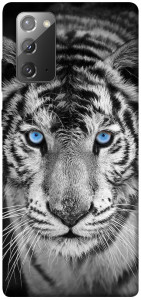 Чохол Бенгальський тигр для Galaxy Note 20