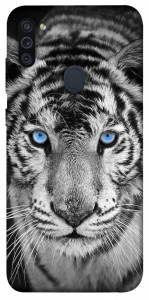Чохол Бенгальський тигр для Galaxy M11 (2020)