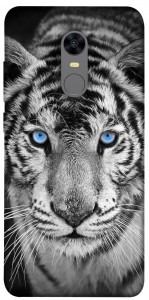 Чехол Бенгальский тигр для Xiaomi Redmi 5 Plus