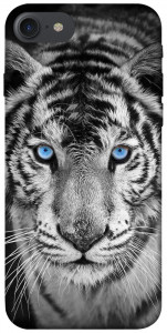 Чехол Бенгальский тигр для  iPhone 8 (4.7")