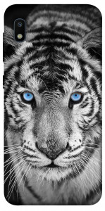 Чехол Бенгальский тигр для Galaxy A10 (A105F)