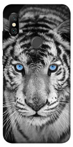 Чехол Бенгальский тигр для Xiaomi Redmi Note 6 Pro