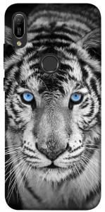 Чехол Бенгальский тигр для Huawei Y6 (2019)