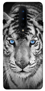 Чехол Бенгальский тигр для OnePlus 8