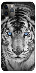 Чехол Бенгальский тигр для iPhone 12 Pro