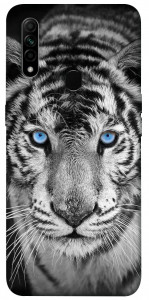 Чохол Бенгальський тигр для Oppo A31