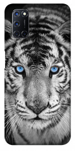 Чехол Бенгальский тигр для Oppo A52
