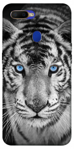 Чехол Бенгальский тигр для Oppo A5s
