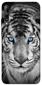 Чехол Бенгальский тигр для Huawei Y7p
