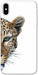 Чехол Леопард для iPhone XS