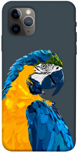 Чехол Попугай для iPhone 11 Pro
