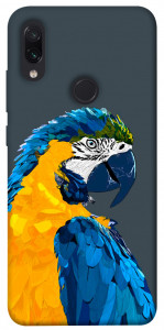 Чехол Попугай для Xiaomi Redmi Note 7